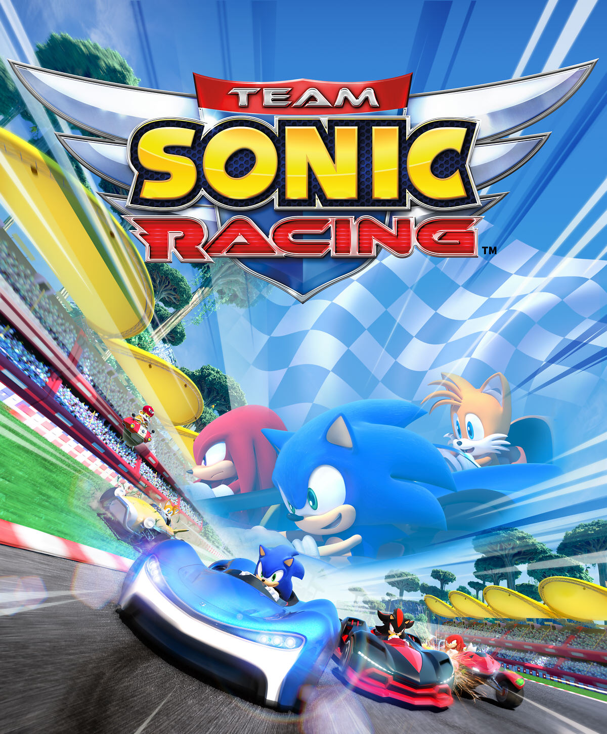 Team Sonic Racing Artwork Sega Shin Force Systems Microsoft Xbox One